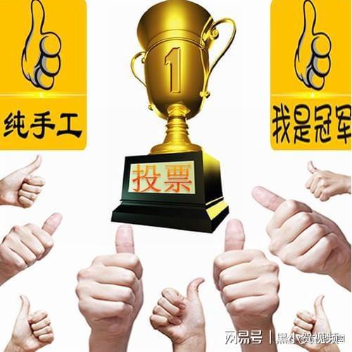 投票10元1000票是真的吗？人工投票多少钱一票？(图2)