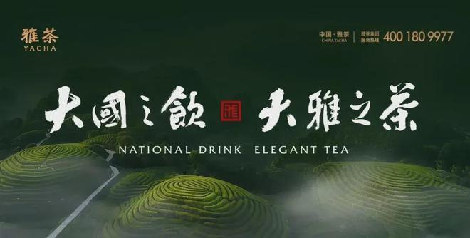 【武阳春雨】薅一波“春节流量”茶企生产忙新春走基层(图1)