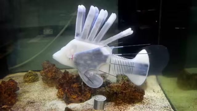仿生机器人新突破：液压流体电池驱动的“水母”与“蠕虫”问世(图2)