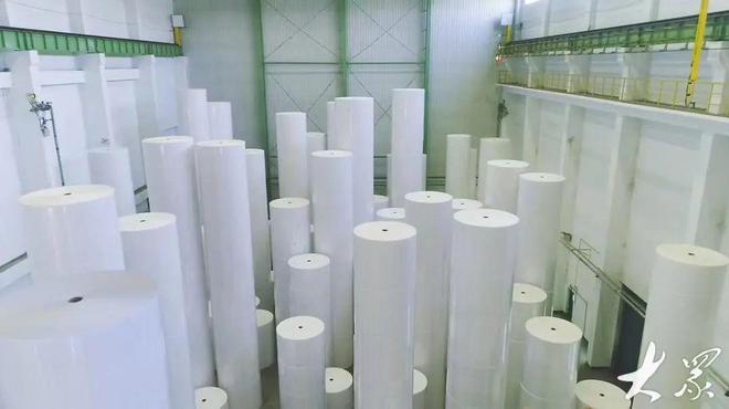 亚太森博：把“绿色”玩出新花样引领制浆造纸业高质量发展新风尚(图4)