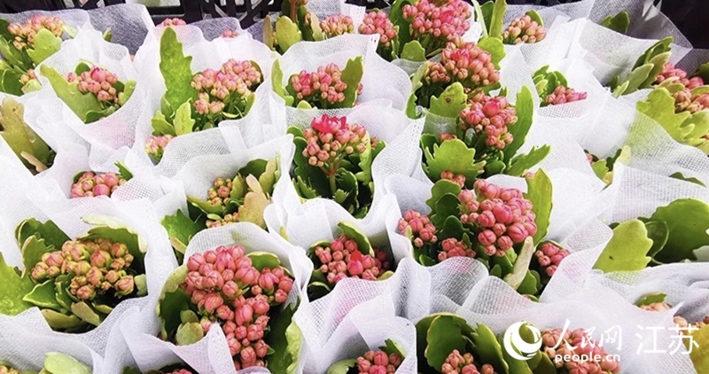 徐州邳州市：工强农兴“两开花”(图3)