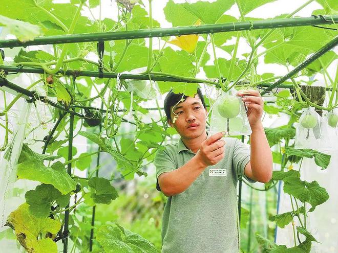 快看昭通有1人！2024年云南省“最美职工”年度人物发布(图19)