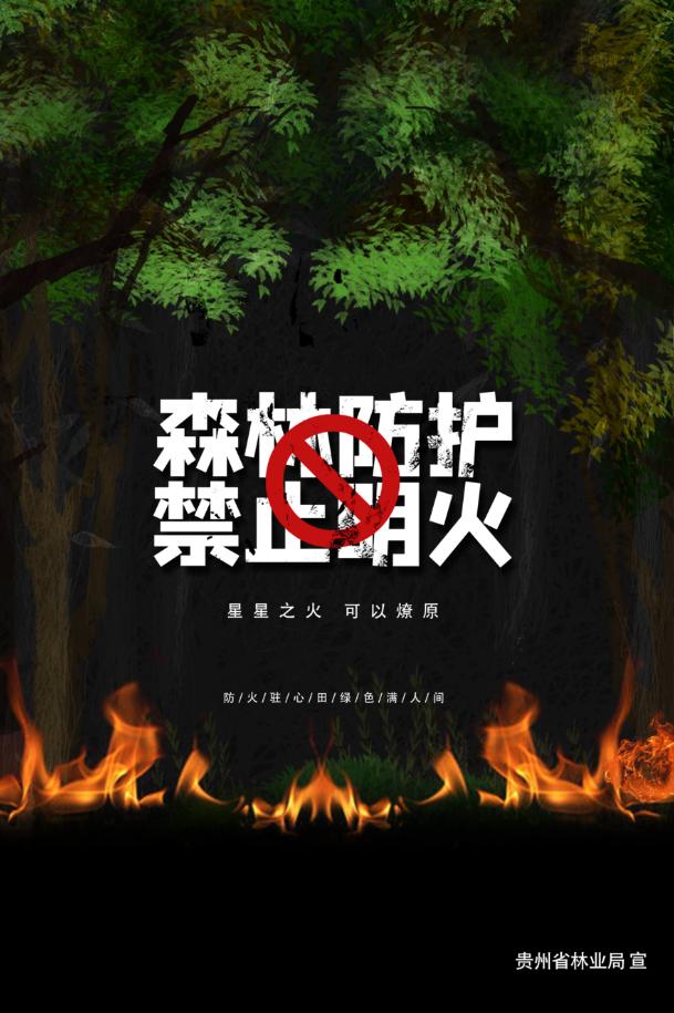 西秀区：“六单”全流程服务机制助力企业跑出“加速度”(图10)
