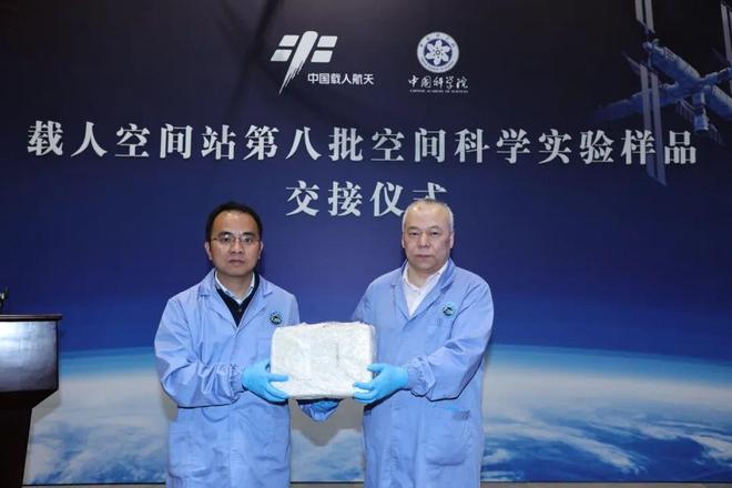 我国首次验证空间站3D活细胞样本在轨长期保存技术(图1)