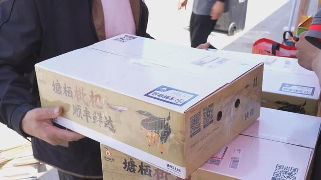 最新最全攻略！买塘栖枇杷摘塘栖枇杷吃喽！(图6)