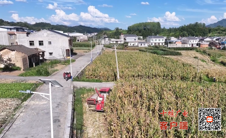 丰收十堰丨金秋时节十堰处处好丰景(图4)