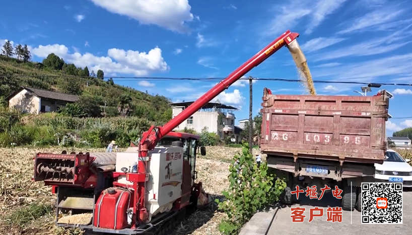 丰收十堰丨金秋时节十堰处处好丰景(图5)