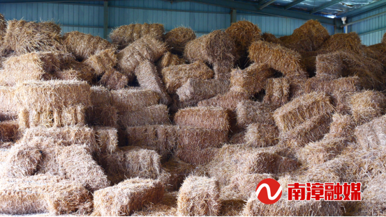 我县首批新型秸秆综合利用打包机“上岗”(图3)