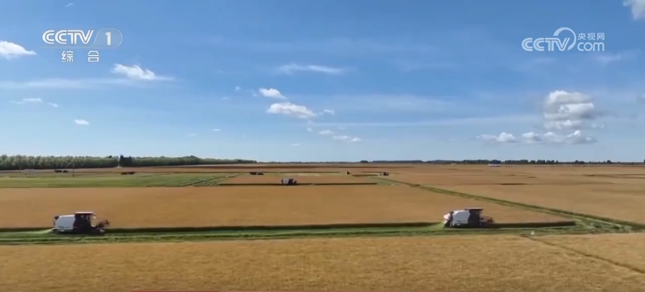 玉米丰收“金”满仓智能农机“唱主角”希望的田野上“丰”景如画(图1)