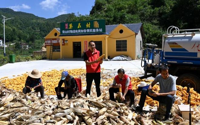 湖北郧阳：青山村的“云端突围”(图1)