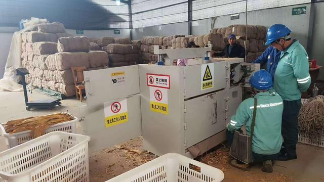 国网安康市汉滨区供电公司：电力满格护航“黄金叶”归仓助农产业增收(图1)