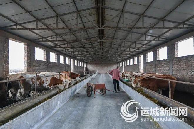 运城市聚焦秸秆生态产业化之路秸秆变身农业“新资源”(图2)