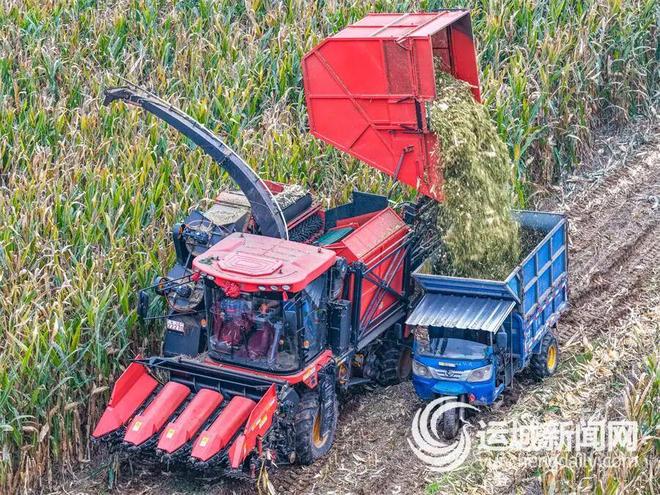 运城市聚焦秸秆生态产业化之路秸秆变身农业“新资源”(图4)