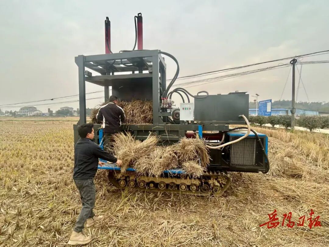 要生态也要口袋！一位种粮大户的绿色账本(图1)