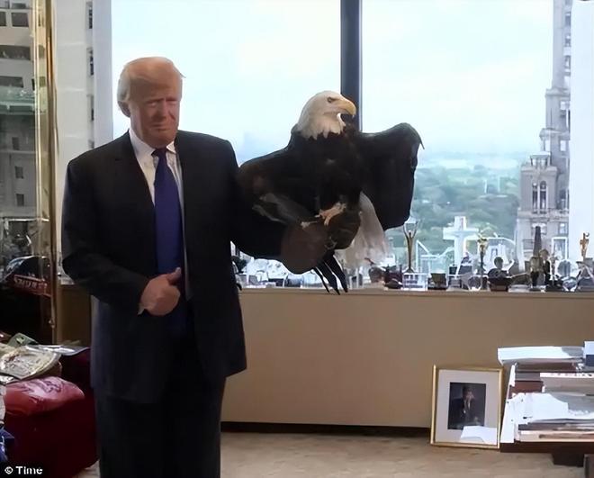 首次登顶！中国机械狂揽500亿欧元终结德国工业20年霸权垄断(图8)