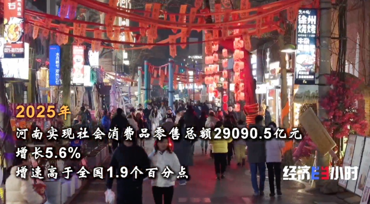 中国经济坐标：中原崛起新势力(图8)