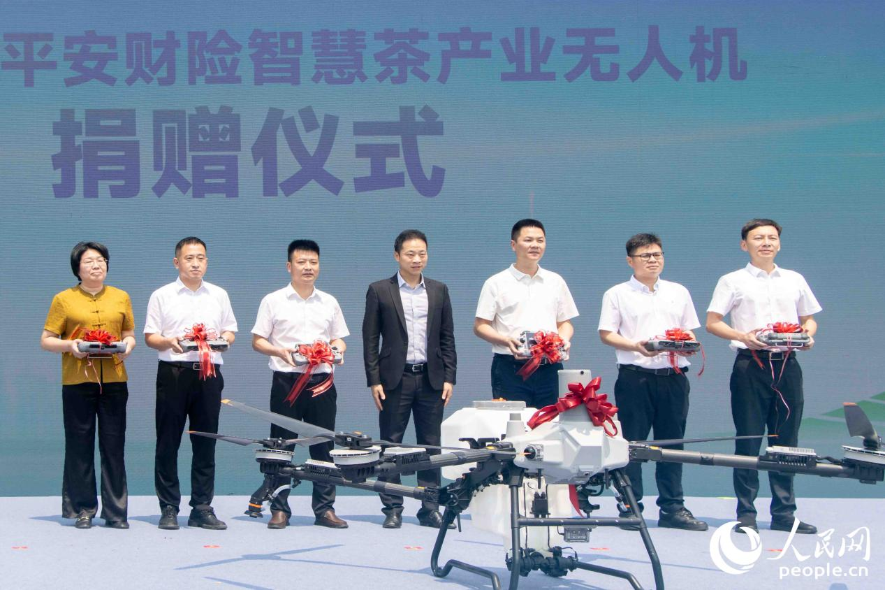 从茶山到茶杯福建安溪如此“智变”(图2)